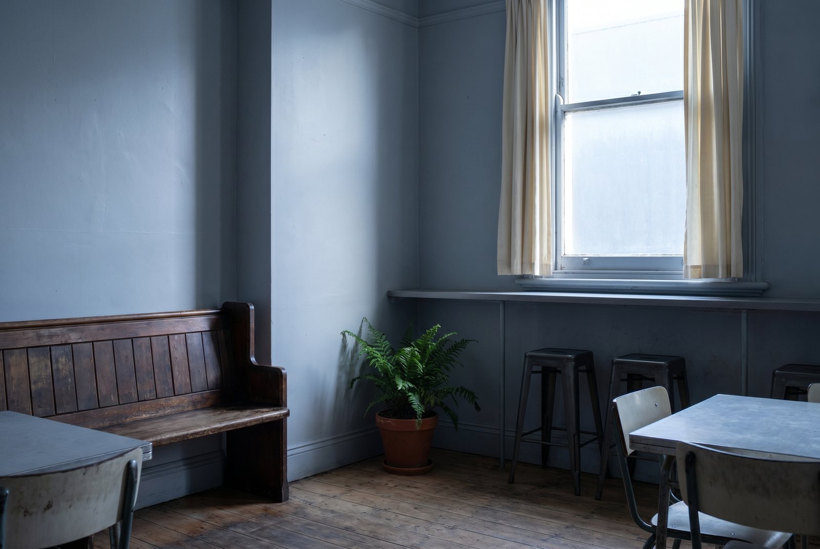 A small, calm cafe room at dawn, soft slate walls and a single plant