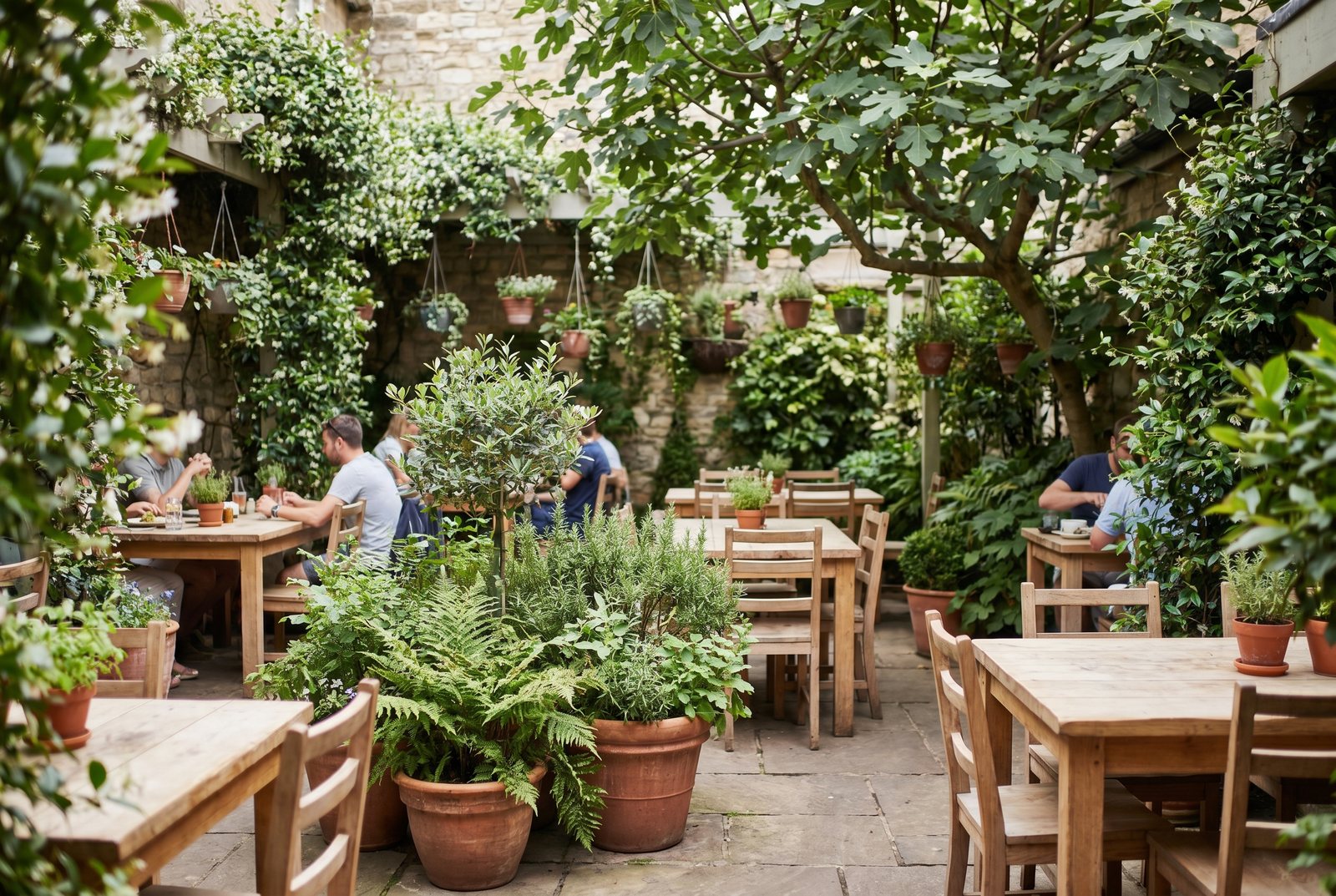 A leafy sun-filled cafe courtyard with timber tables, terracotta pots and hanging plants