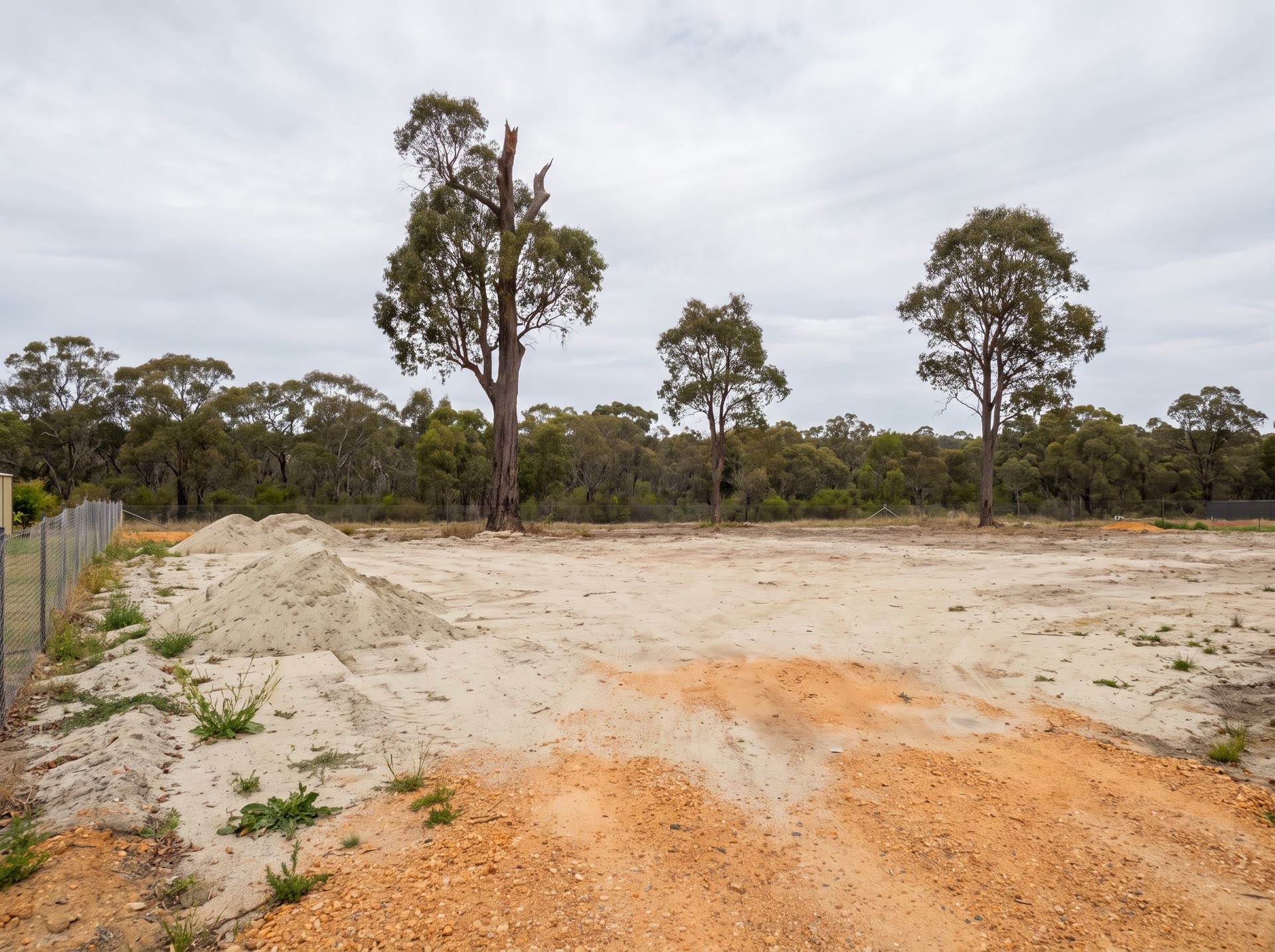 Bare building block before planting: spread builder's sand with two low heaps, orange laterite showing through, weeds along the side fence, three jarrah on the back boundary, the tallest with a broken crown, under an overcast sky