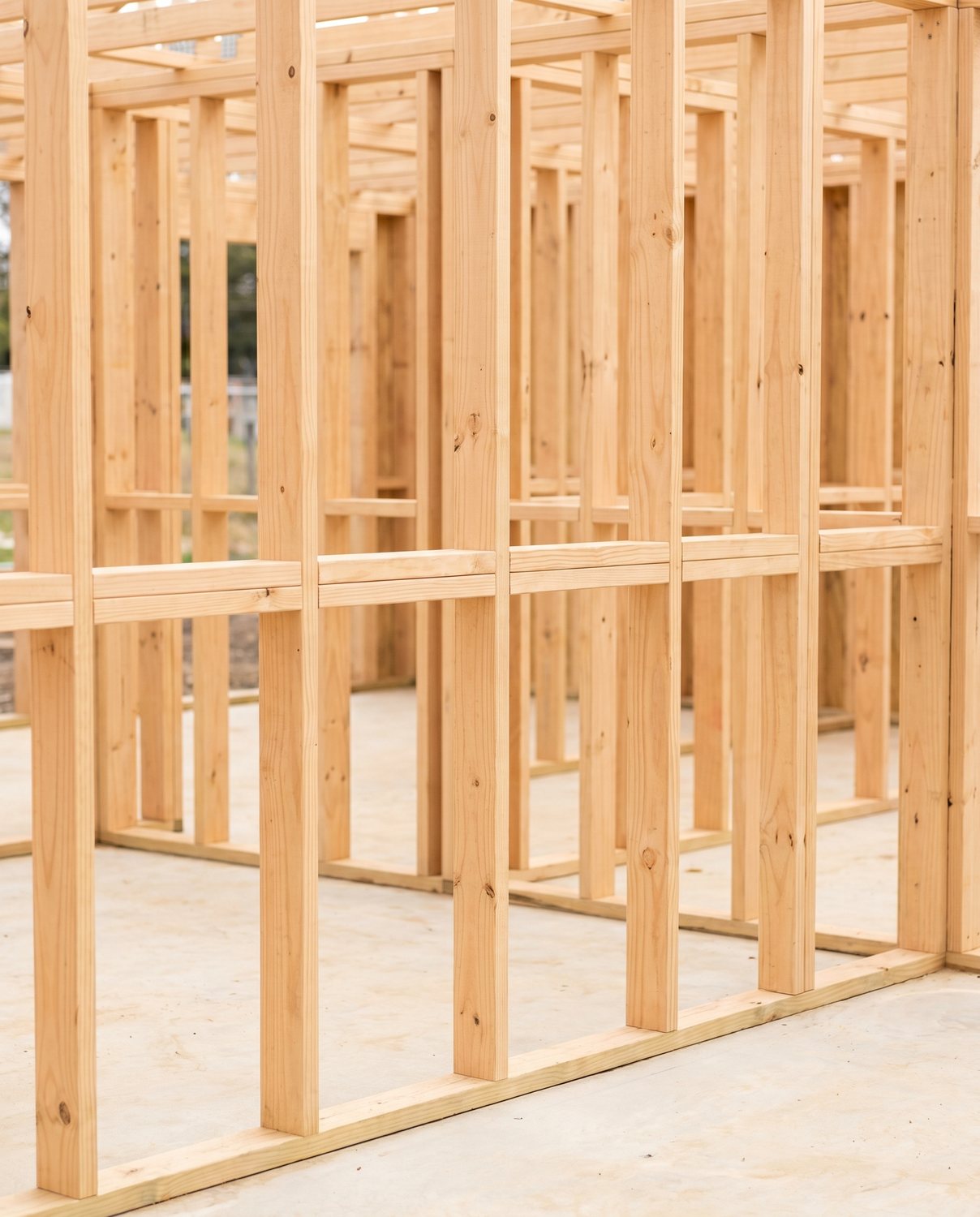 Clean timber wall framing on a build site